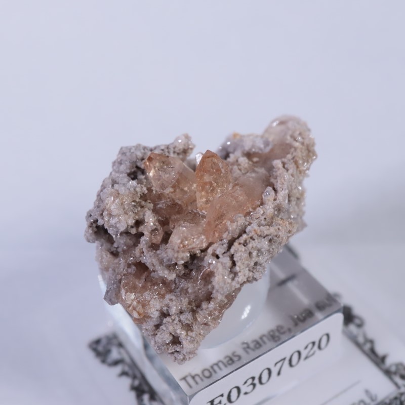 Thomas Range�����ȥѡ���