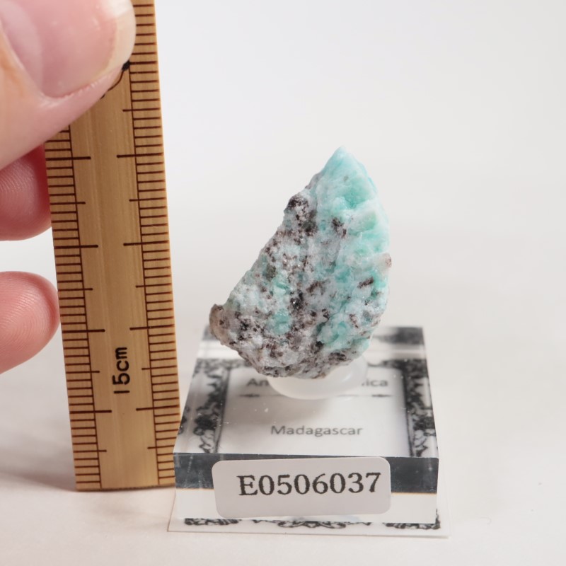 �ޥ��������뻺�����ޥ��ʥ��ȡ�����