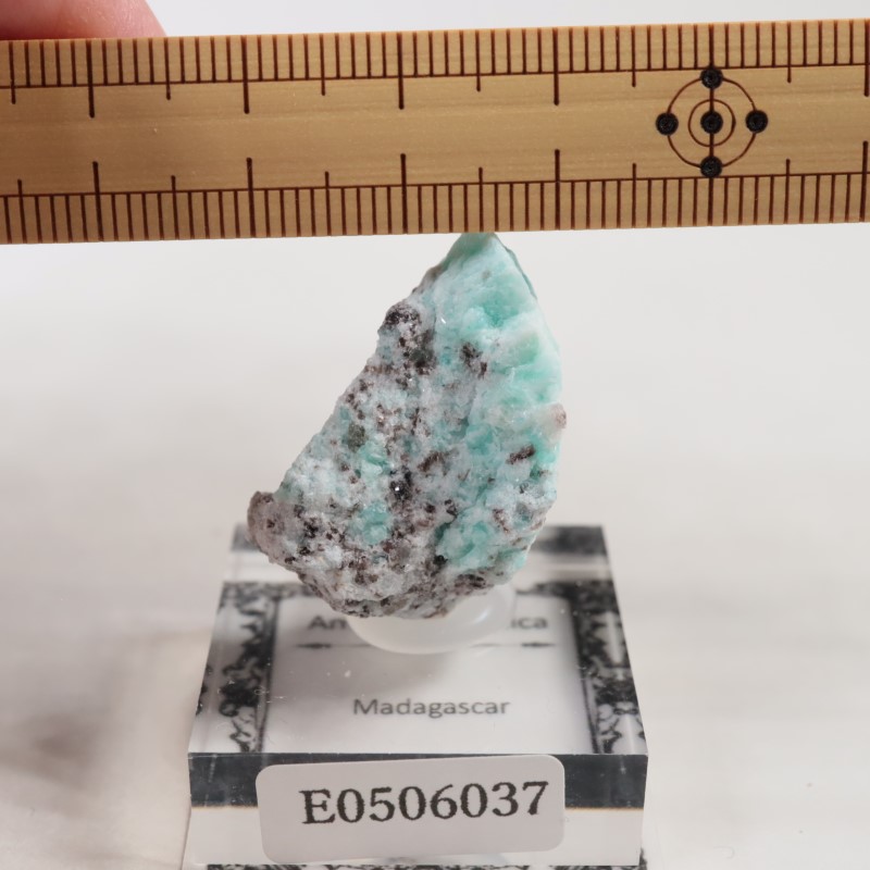 �ޥ��������뻺�����ޥ��ʥ��ȡ�����