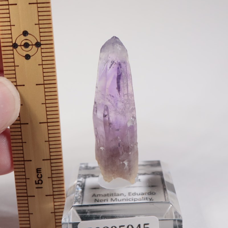 �ᥭ������ ���᥷����