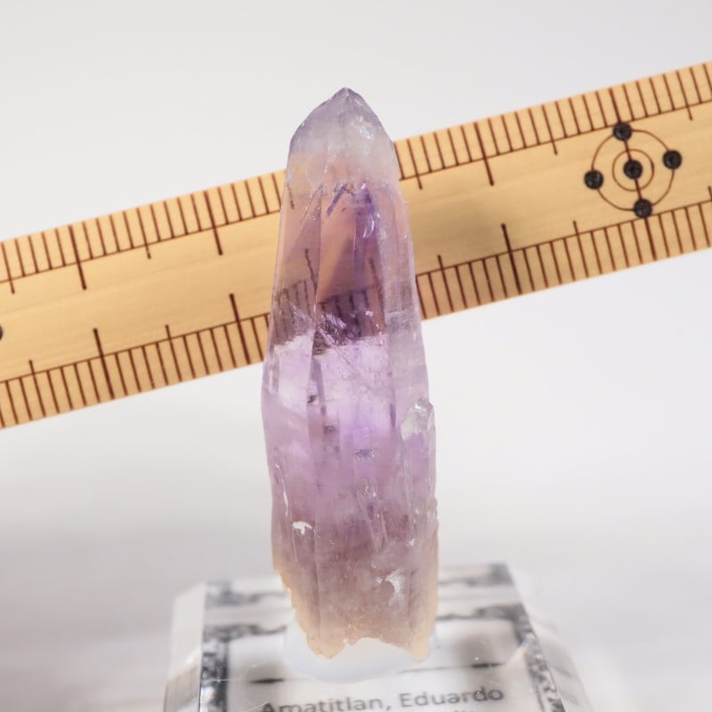 �ᥭ������ ���᥷����