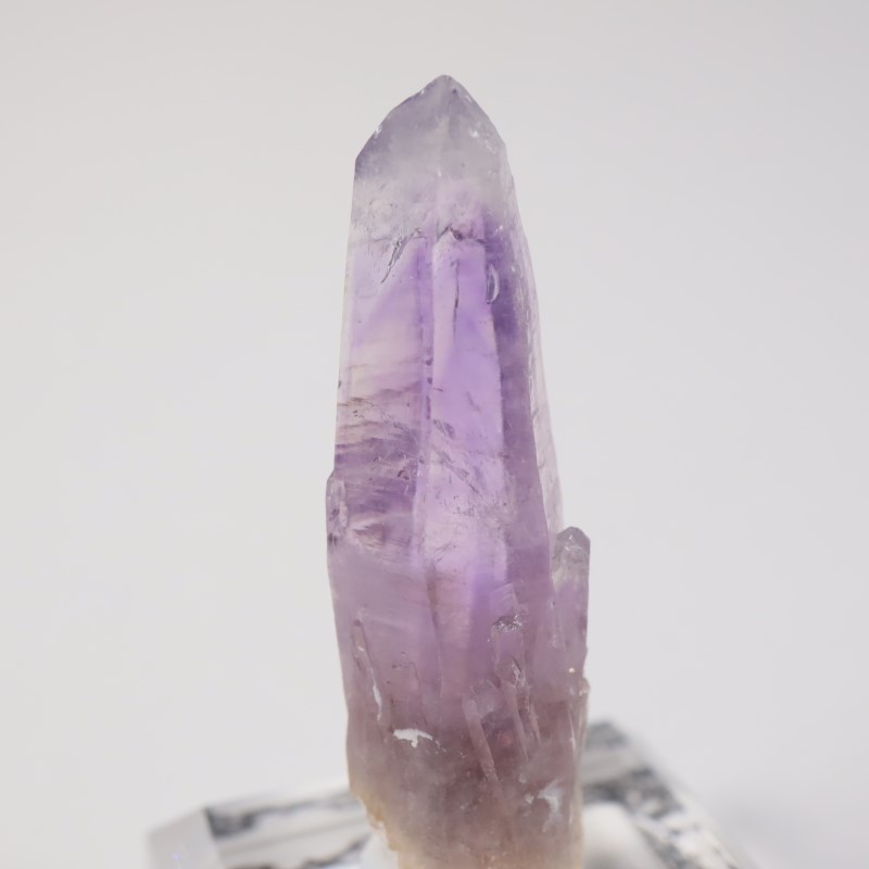 �ᥭ������ ���᥷����