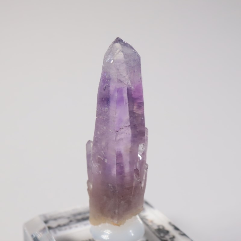 �ᥭ������ ���᥷����