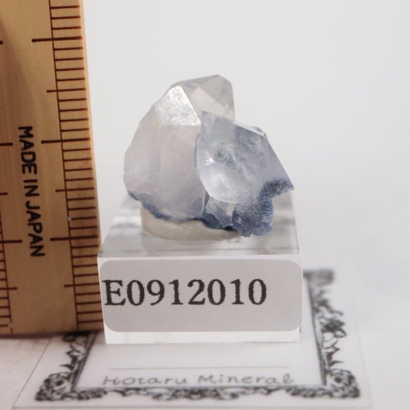 �֥饸�뻺 �ǥ�������饤��in��������