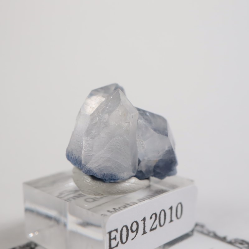 �֥饸�뻺 �ǥ�������饤��in��������