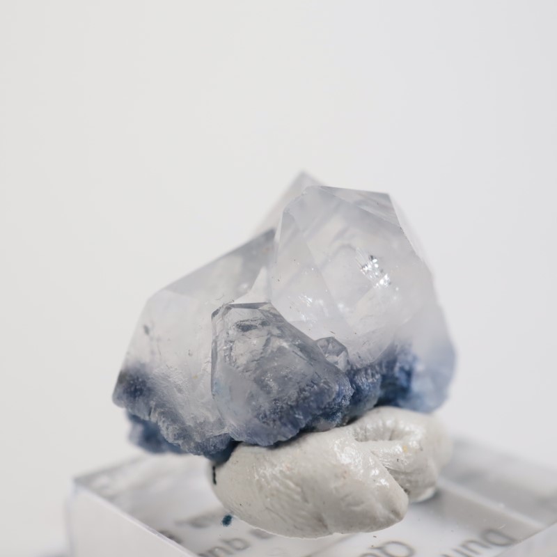 �֥饸�뻺 �ǥ�������饤��in��������