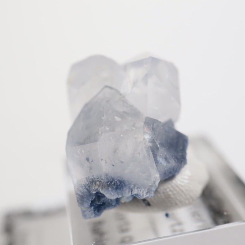 �֥饸�뻺 �ǥ�������饤��in��������