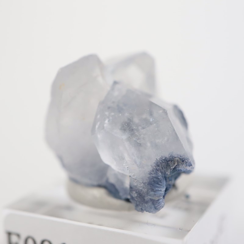 �֥饸�뻺 �ǥ�������饤��in��������