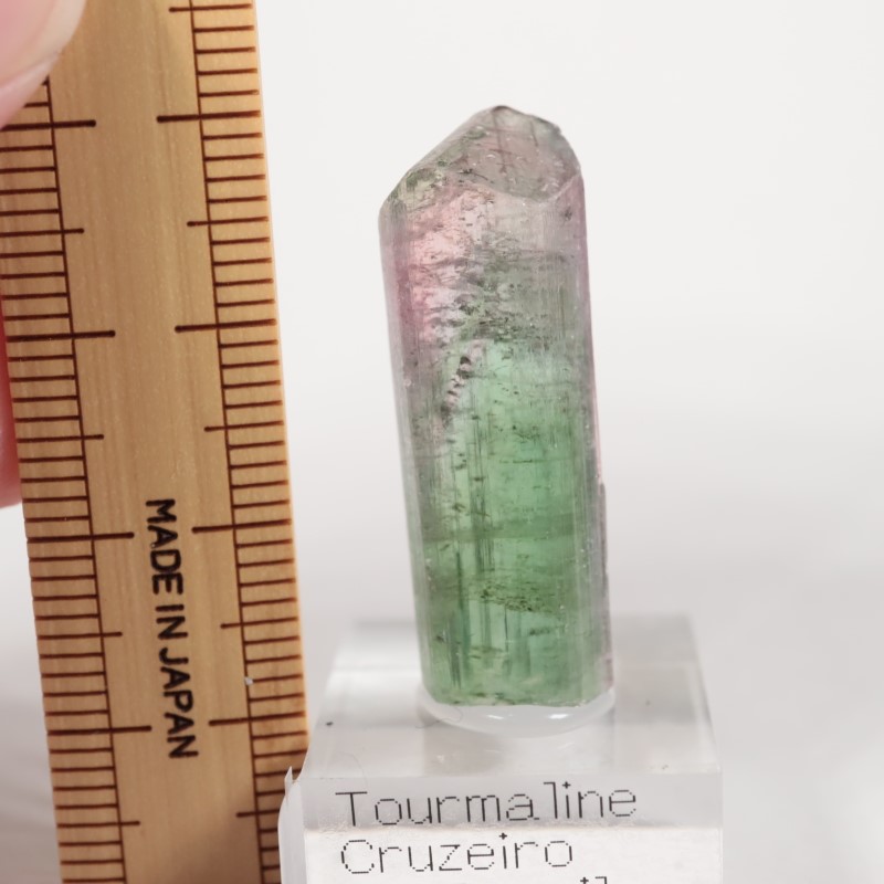 �֥饸�뻺 �ȥ�ޥ��