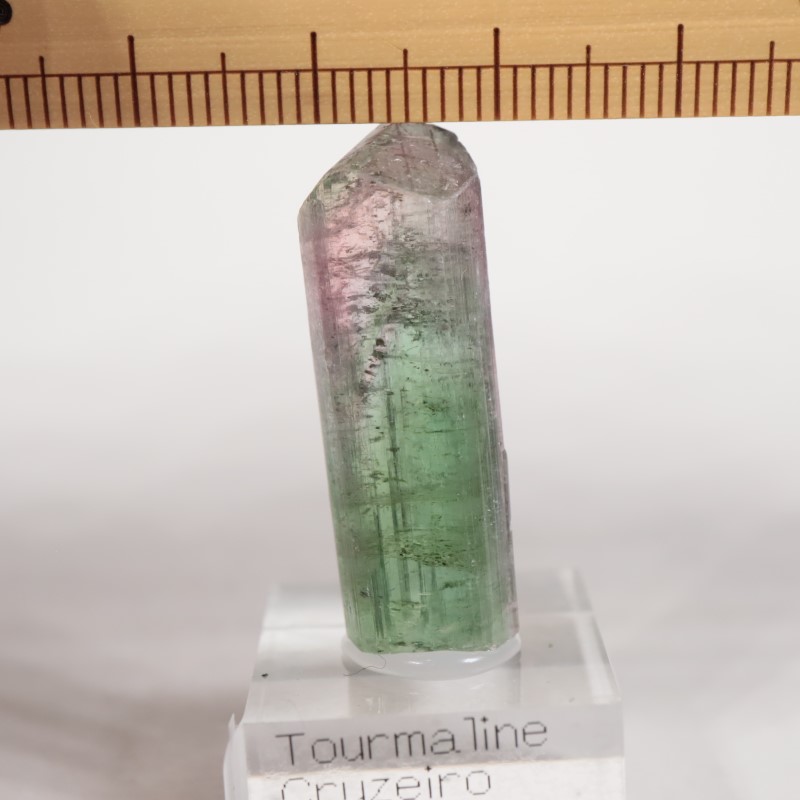 �֥饸�뻺 �ȥ�ޥ��