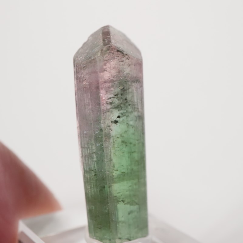 �֥饸�뻺 �ȥ�ޥ��