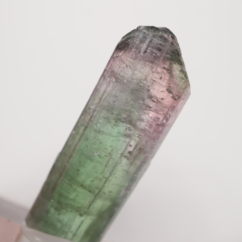 �֥饸�뻺 �ȥ�ޥ��