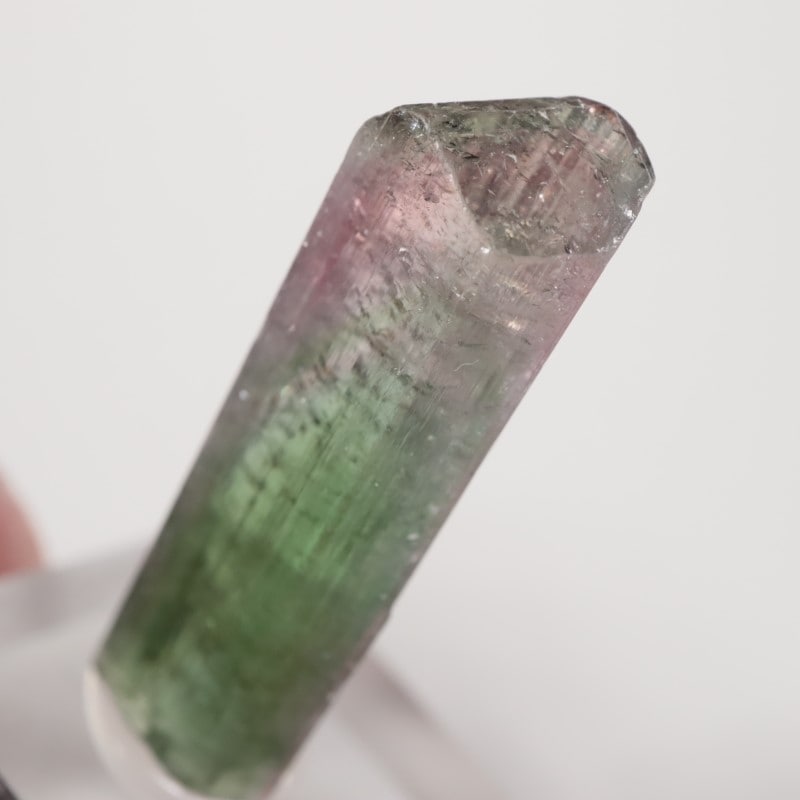 �֥饸�뻺 �ȥ�ޥ��