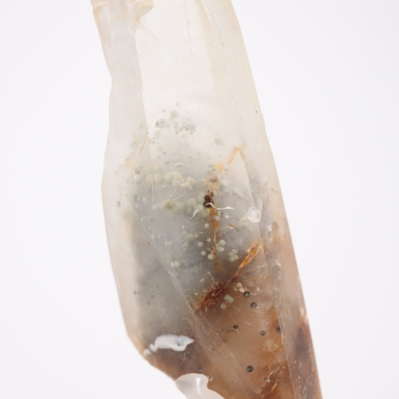 8_000000008937.jpg?1736673355