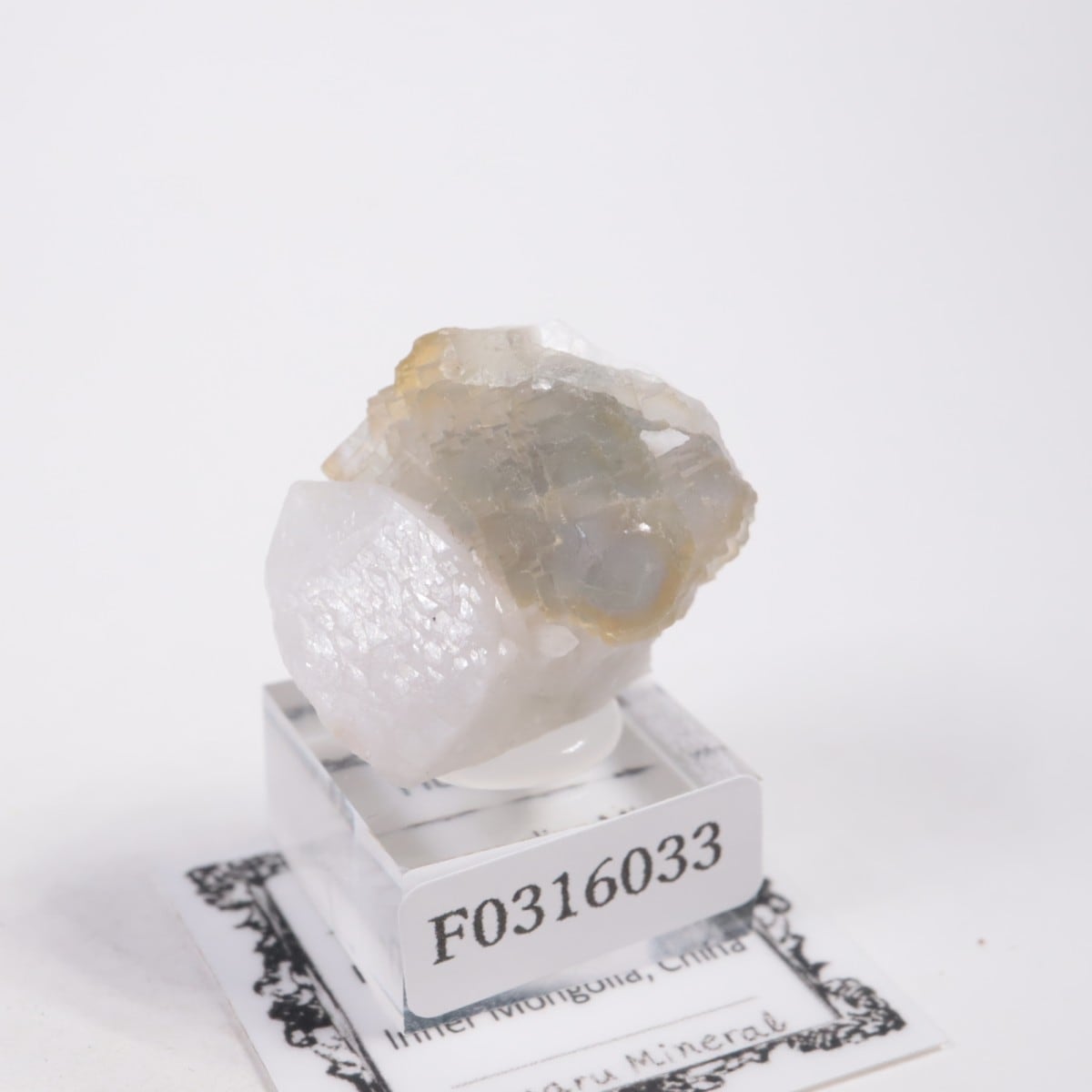 ���󥴥뻺 �ե����饤��