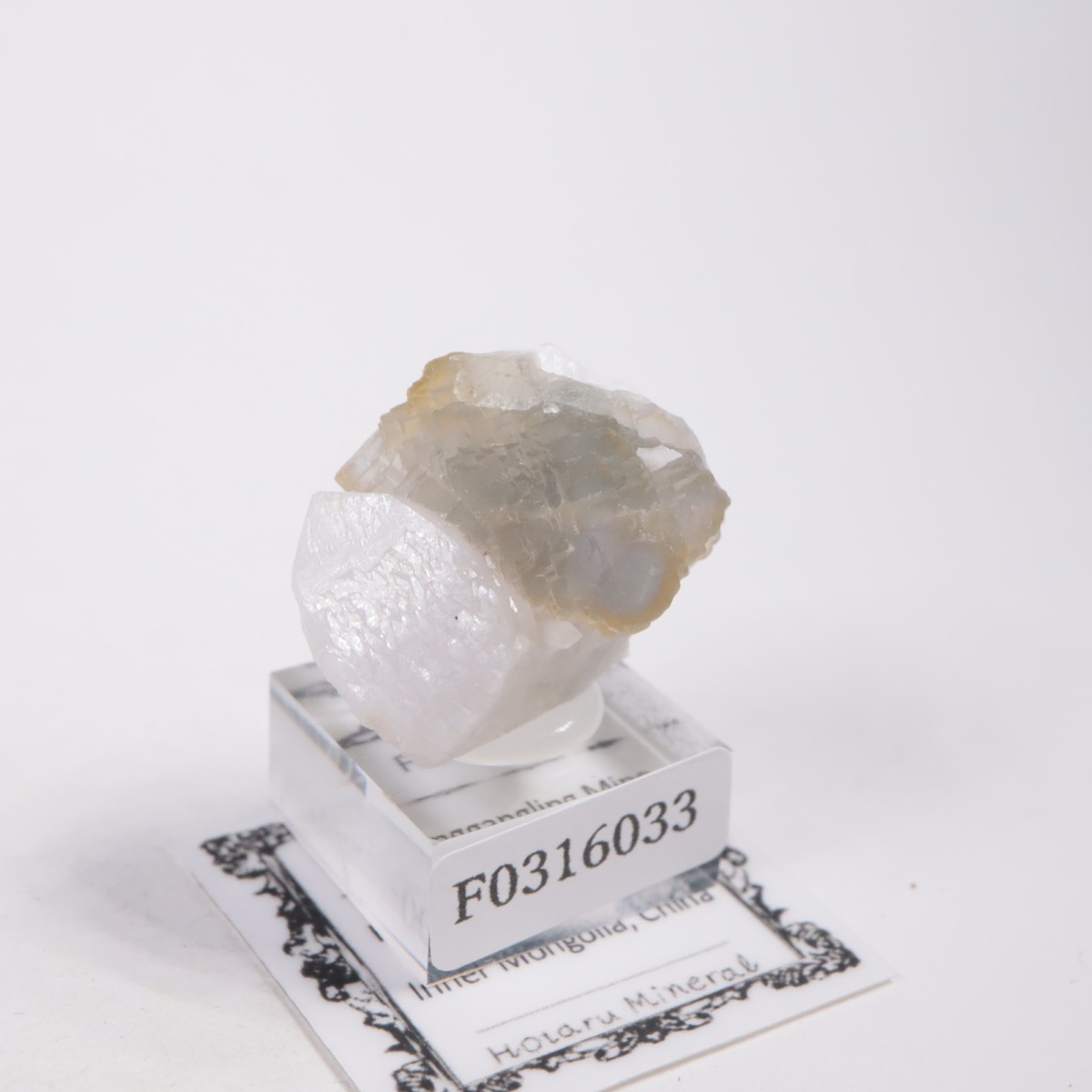 ���󥴥뻺 �ե����饤��