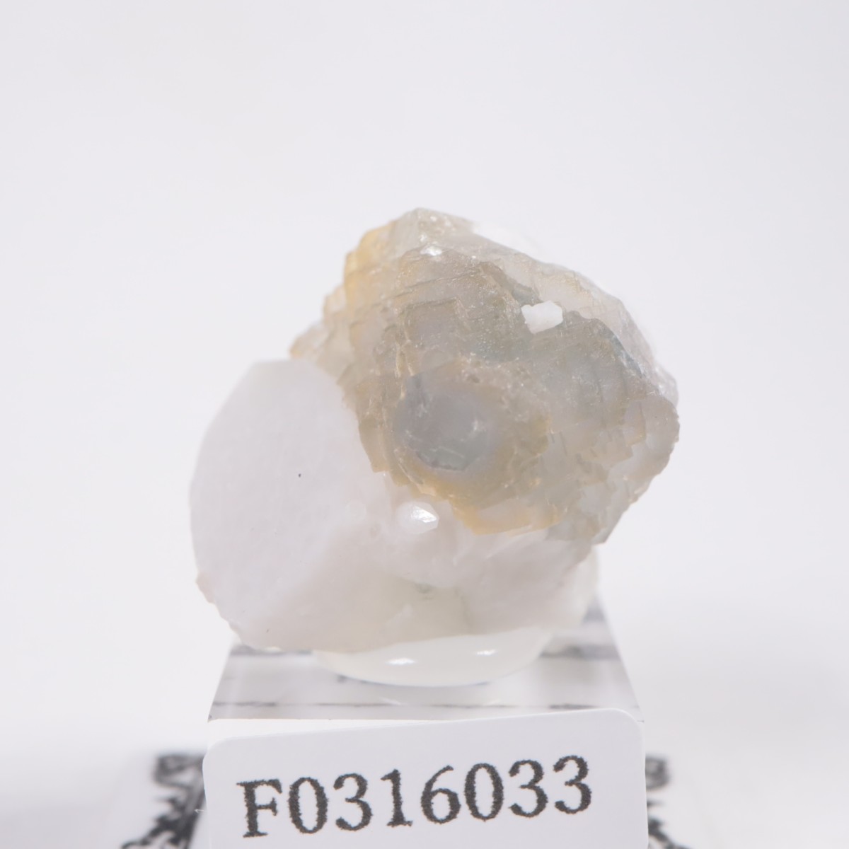 ���󥴥뻺 �ե����饤��