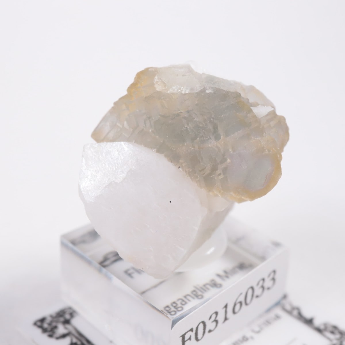 ���󥴥뻺 �ե����饤��