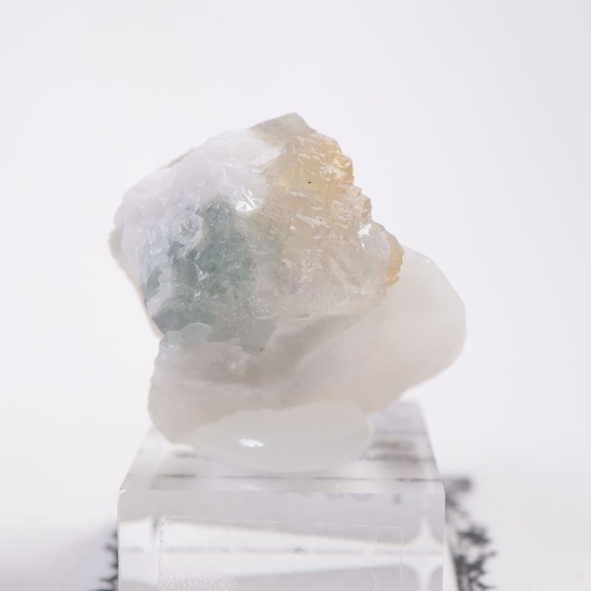 ���󥴥뻺 �ե����饤��