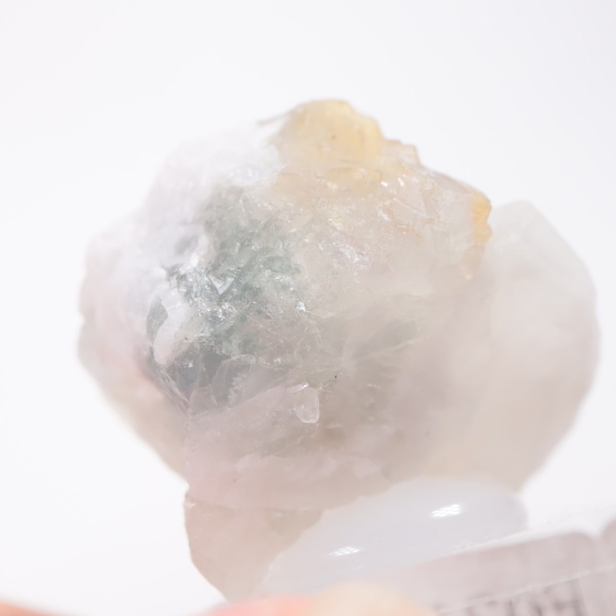 ���󥴥뻺 �ե����饤��