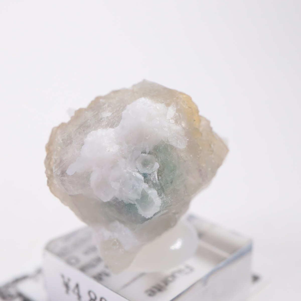 ���󥴥뻺 �ե����饤��