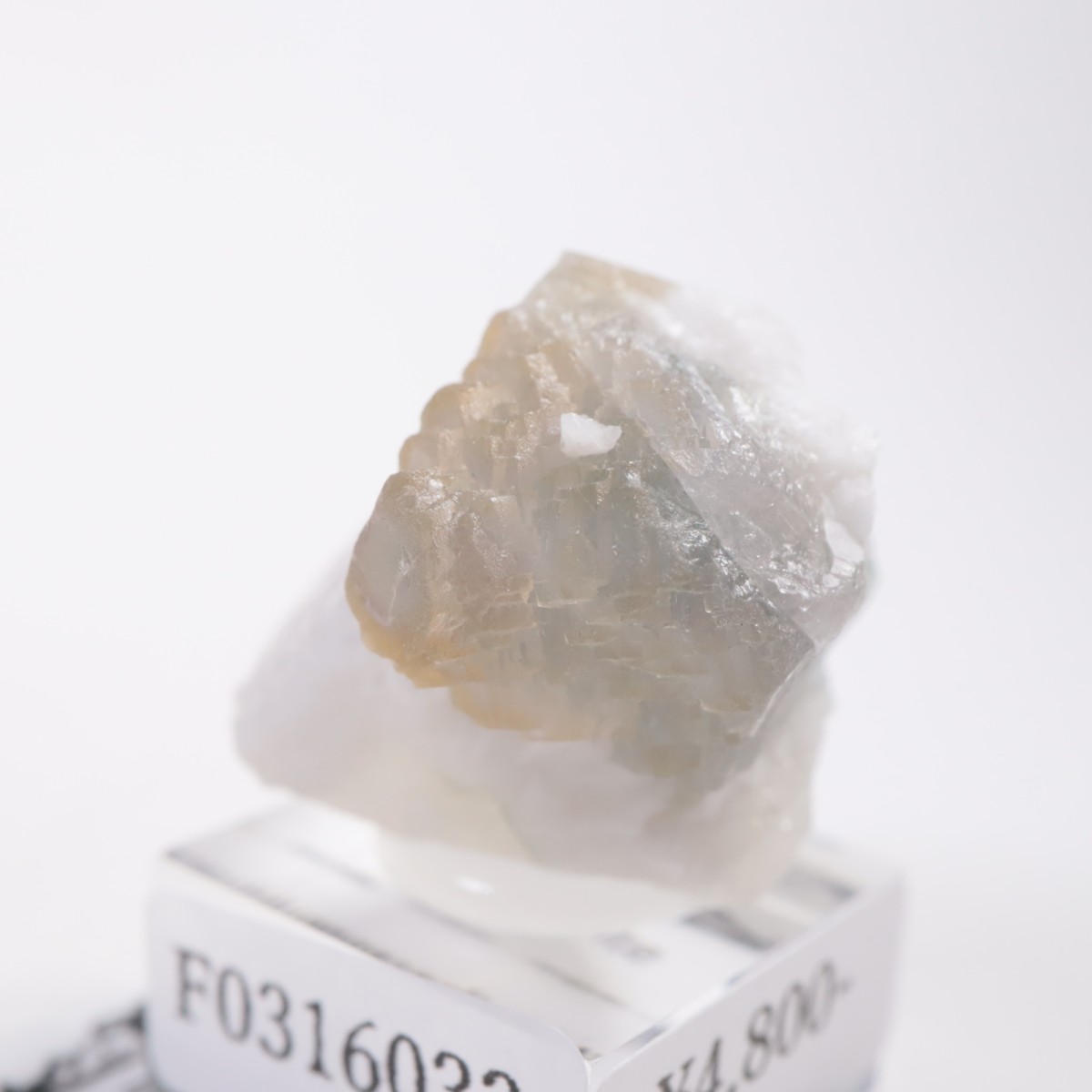 ���󥴥뻺 �ե����饤��