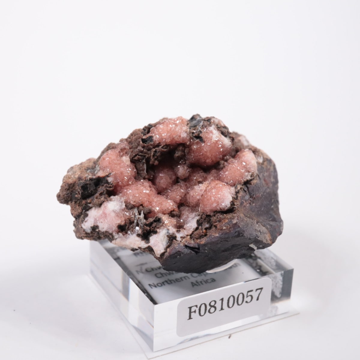 南アフリカ産 ロードクロサイト | 鉱物標本,ラ行,ロードクロサイト/菱