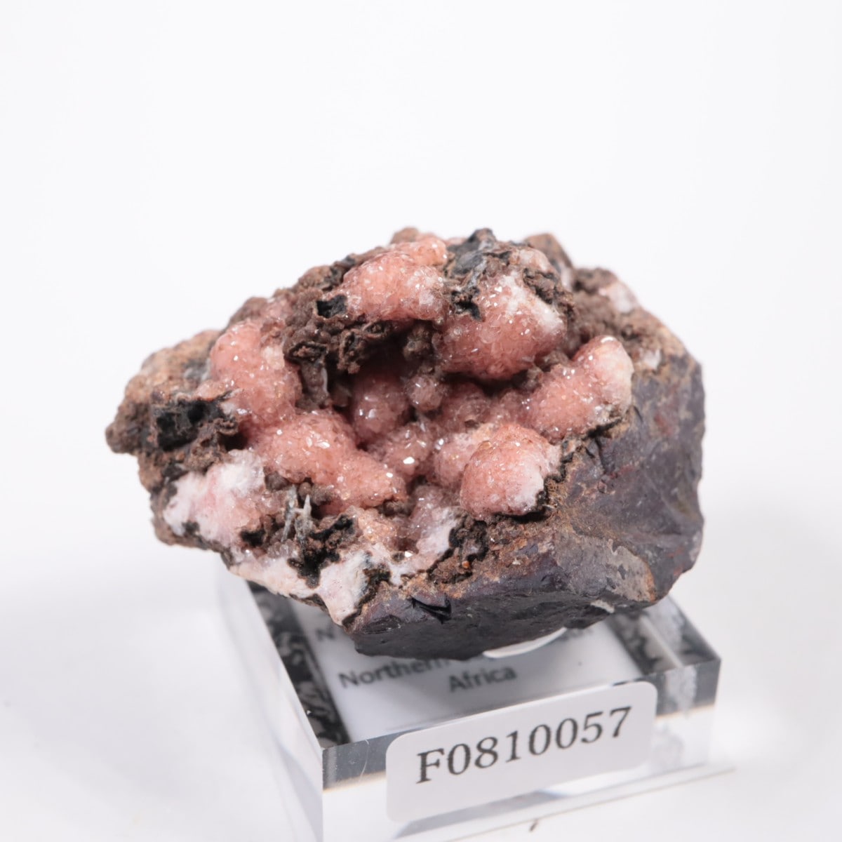 南アフリカ産 ロードクロサイト | 鉱物標本,ラ行,ロードクロサイト/菱