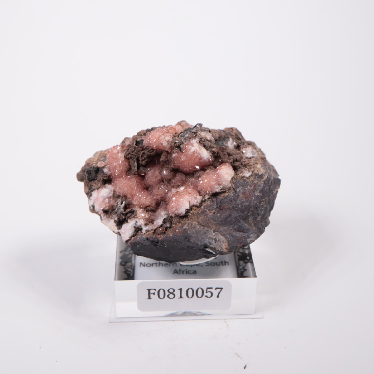 南アフリカ産 ロードクロサイト | 鉱物標本,ラ行,ロードクロサイト/菱
