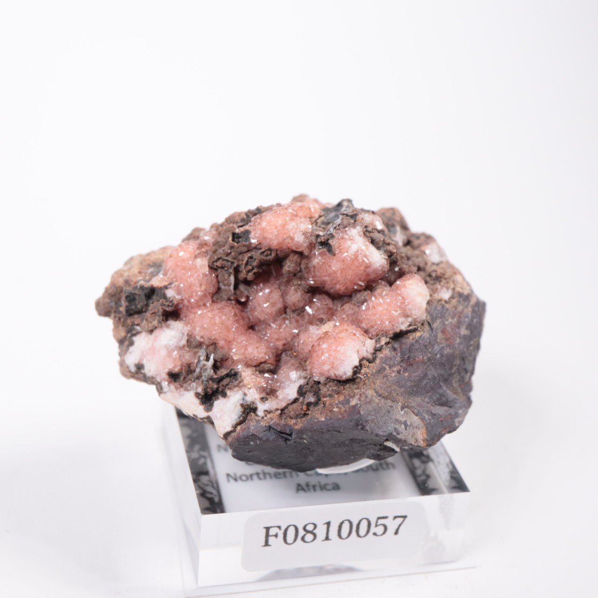 南アフリカ産 ロードクロサイト | 鉱物標本,ラ行,ロードクロサイト/菱