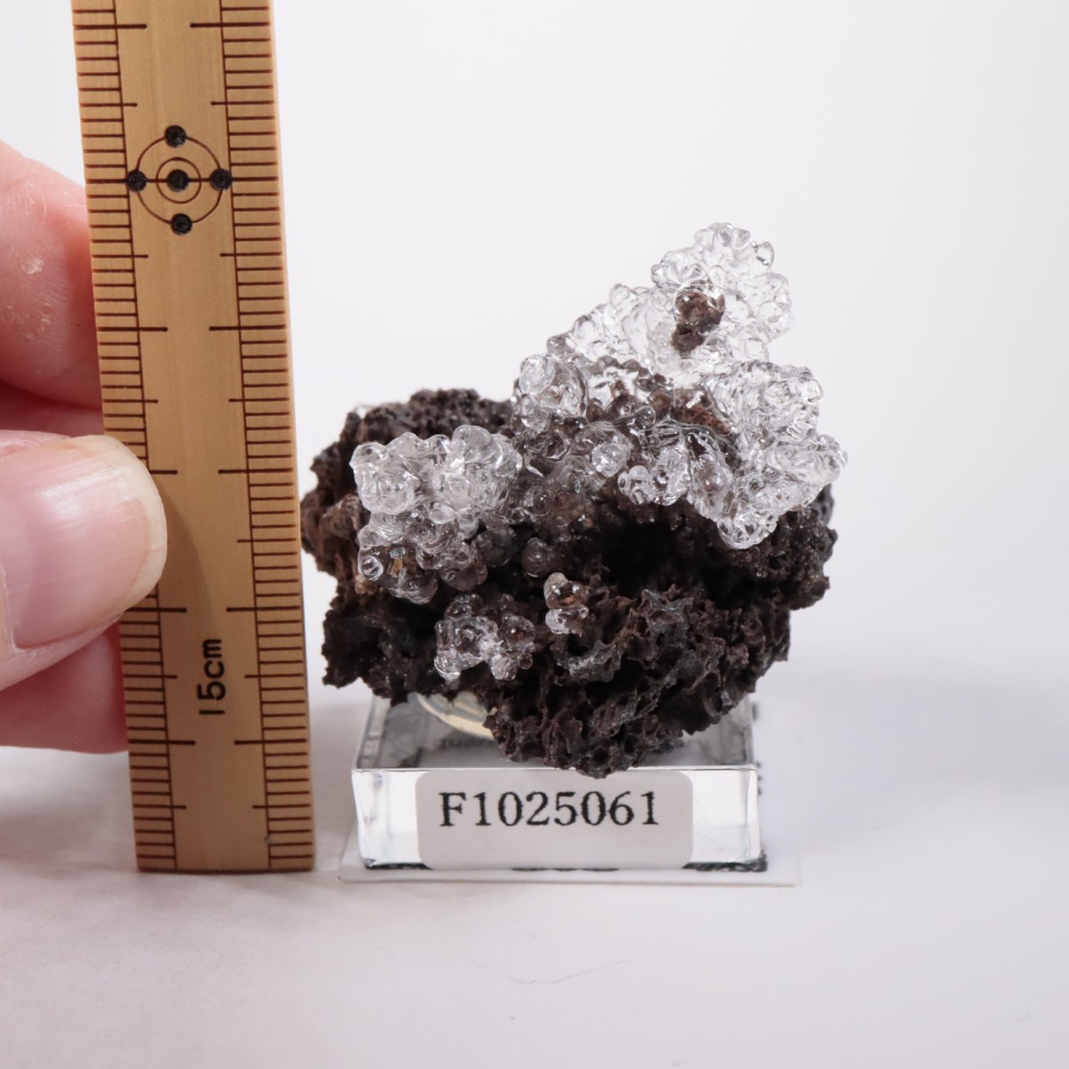 �ϥ󥬥꡼�� �ϥ����饤�ȥ��ѡ���