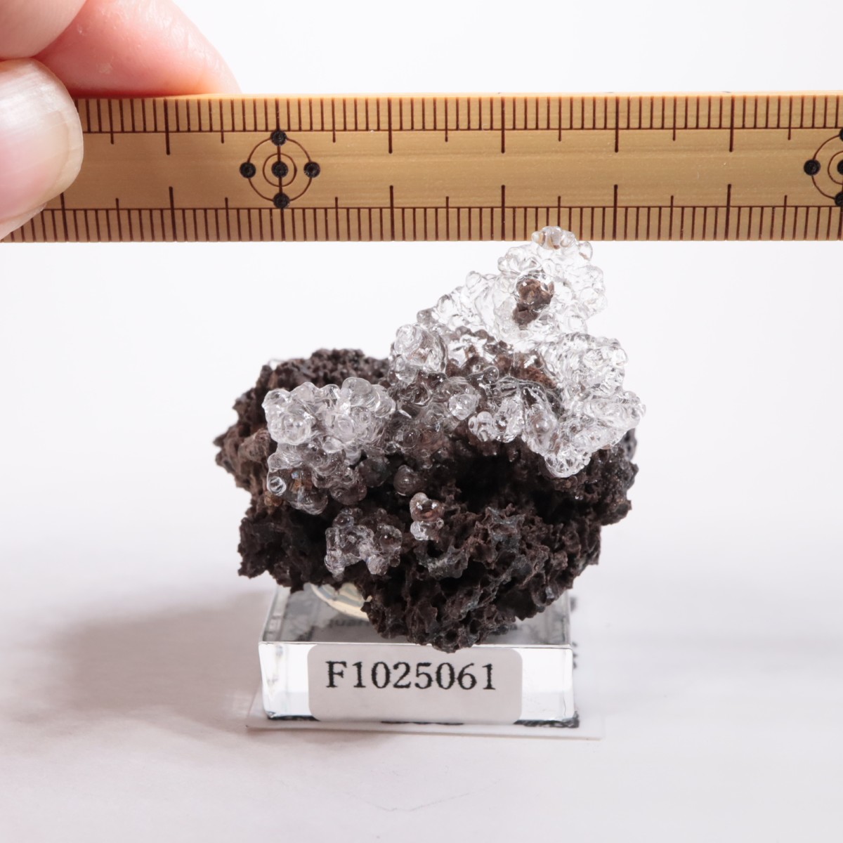 �ϥ󥬥꡼�� �ϥ����饤�ȥ��ѡ���