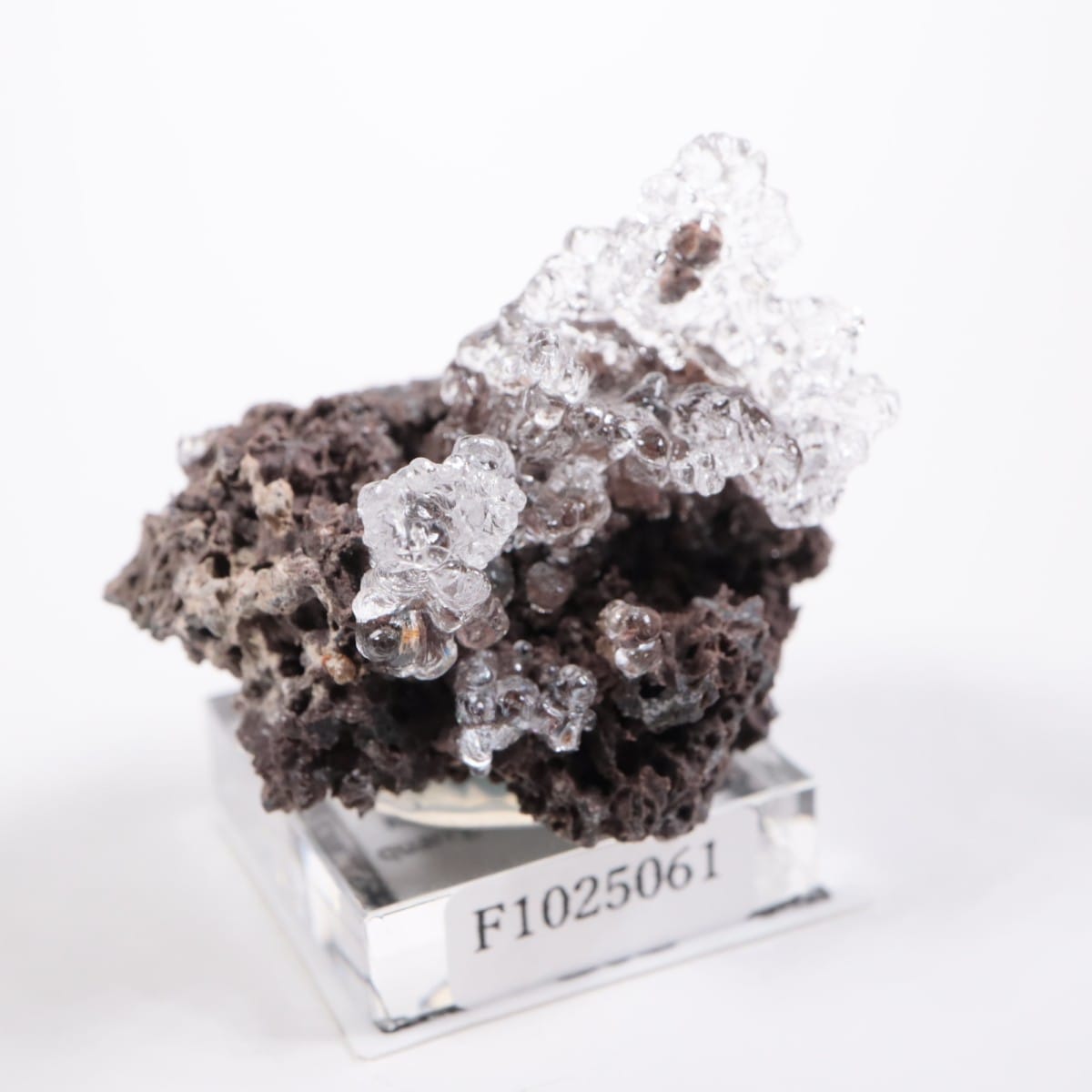 �ϥ󥬥꡼�� �ϥ����饤�ȥ��ѡ���