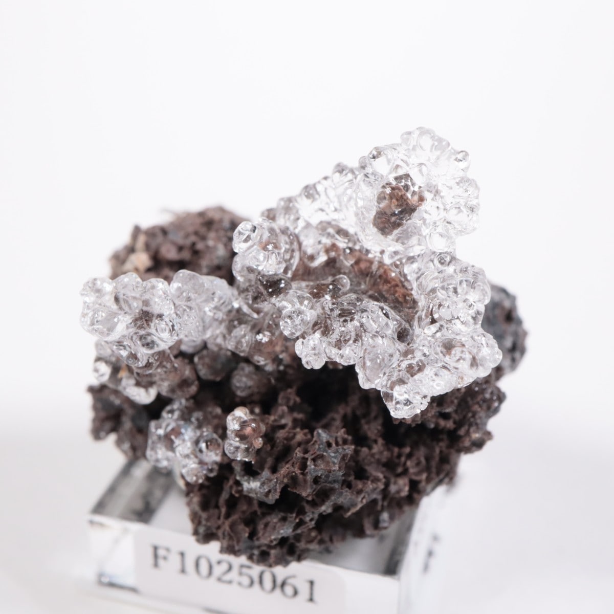 �ϥ󥬥꡼�� �ϥ����饤�ȥ��ѡ���