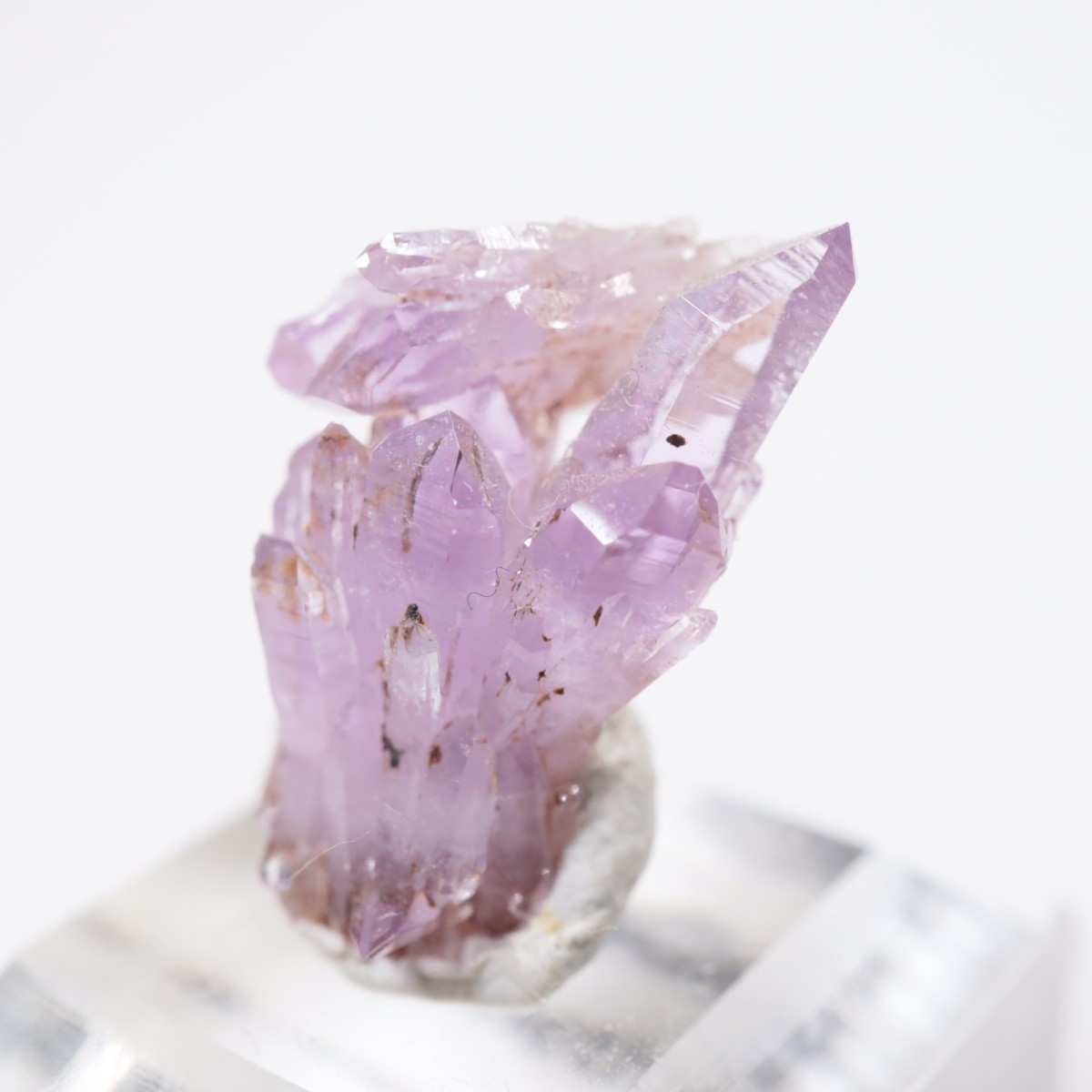 �亮��ȥ� ���᥷����