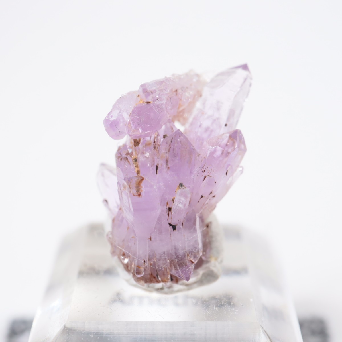 �亮��ȥ� ���᥷����