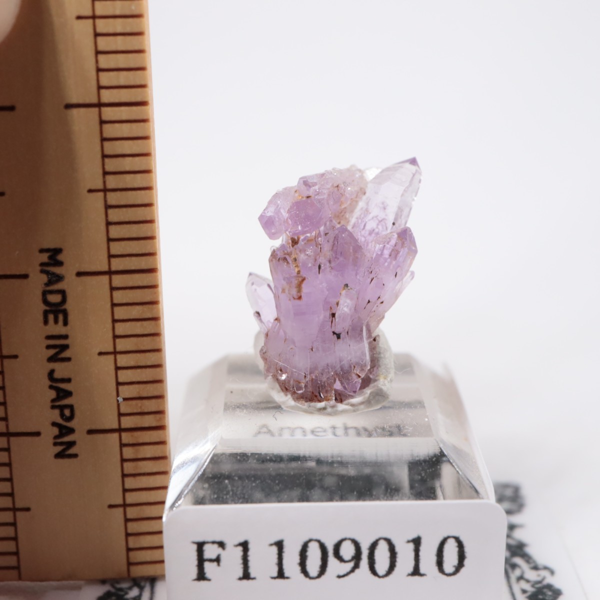 �亮��ȥ� ���᥷����