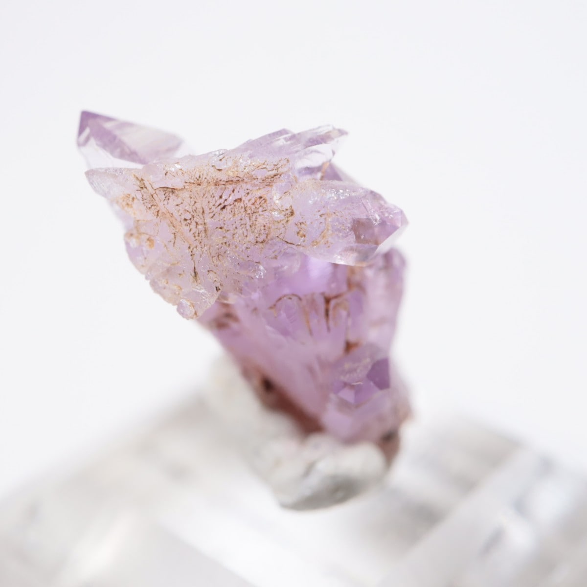 �亮��ȥ� ���᥷����