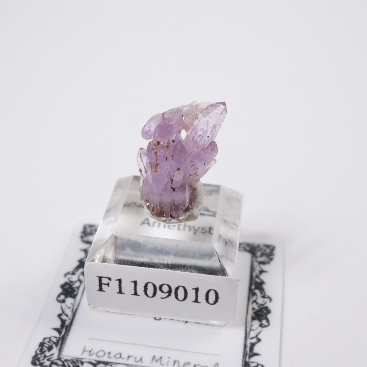 �亮��ȥ� ���᥷����