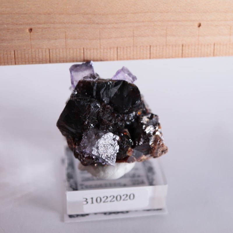 エルムウッド鉱山 フローライト、スファレライト | 鉱物標本,サ行