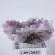 Second Chance Vein������