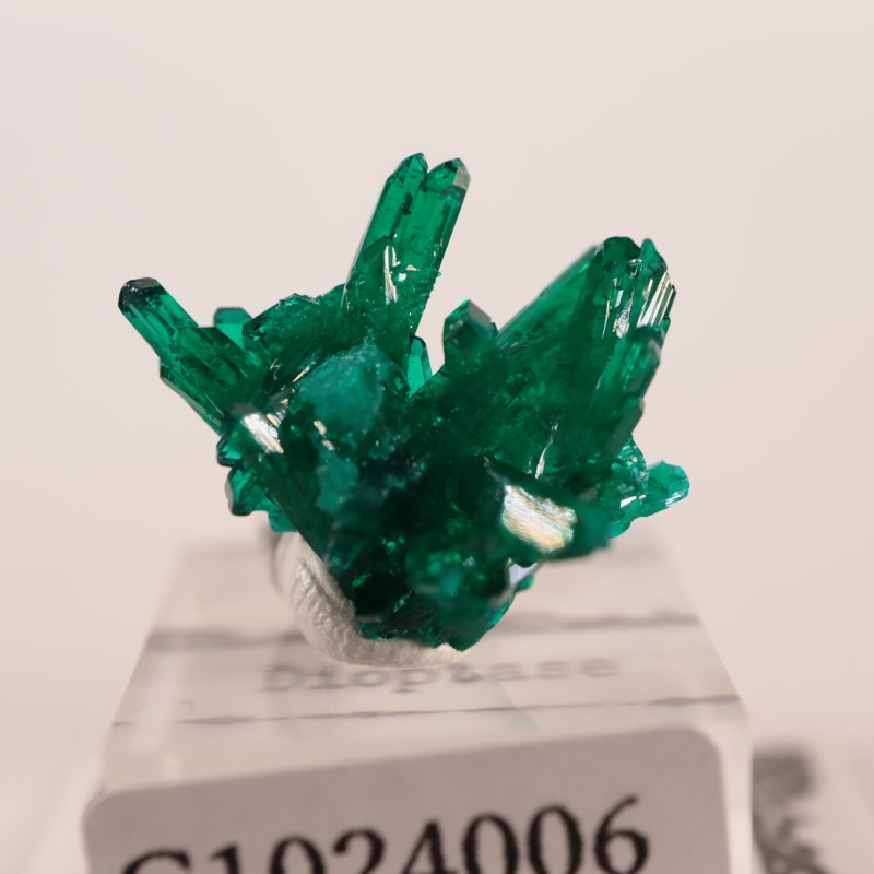 コンゴ産 ダイオプテーズ | 鉱物標本,タ行,ダイオプテーズ/翠銅鉱