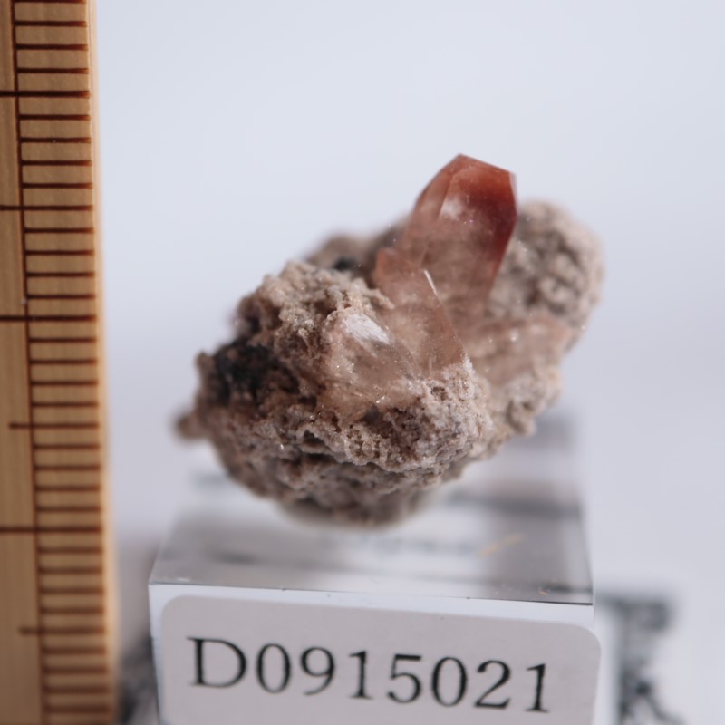 �ᥭ���������ȥѡ���