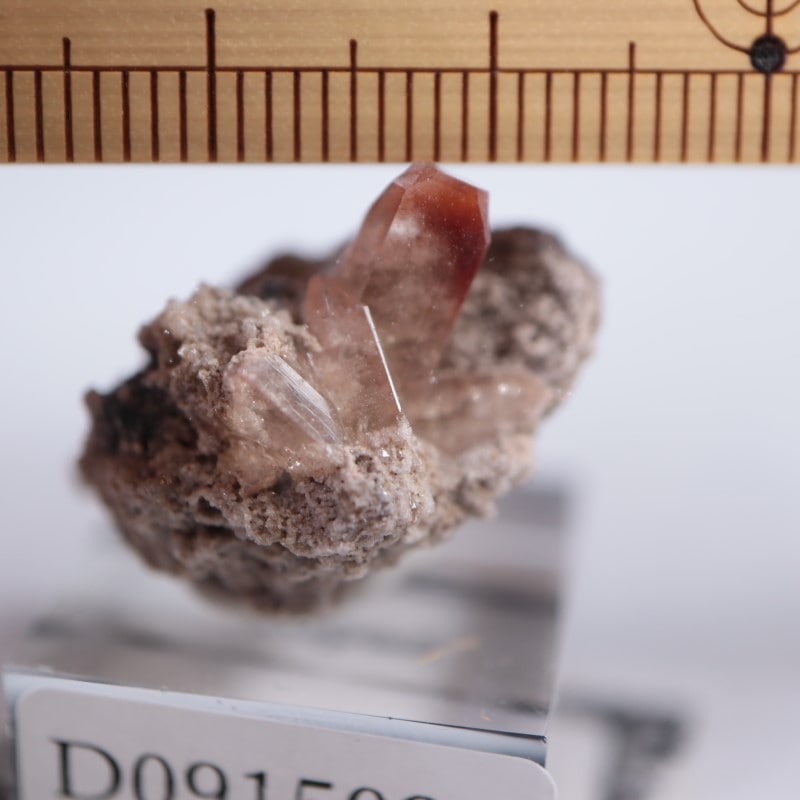 �ᥭ���������ȥѡ���