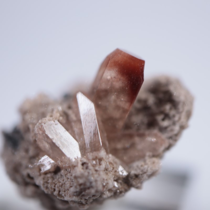 �ᥭ���������ȥѡ���