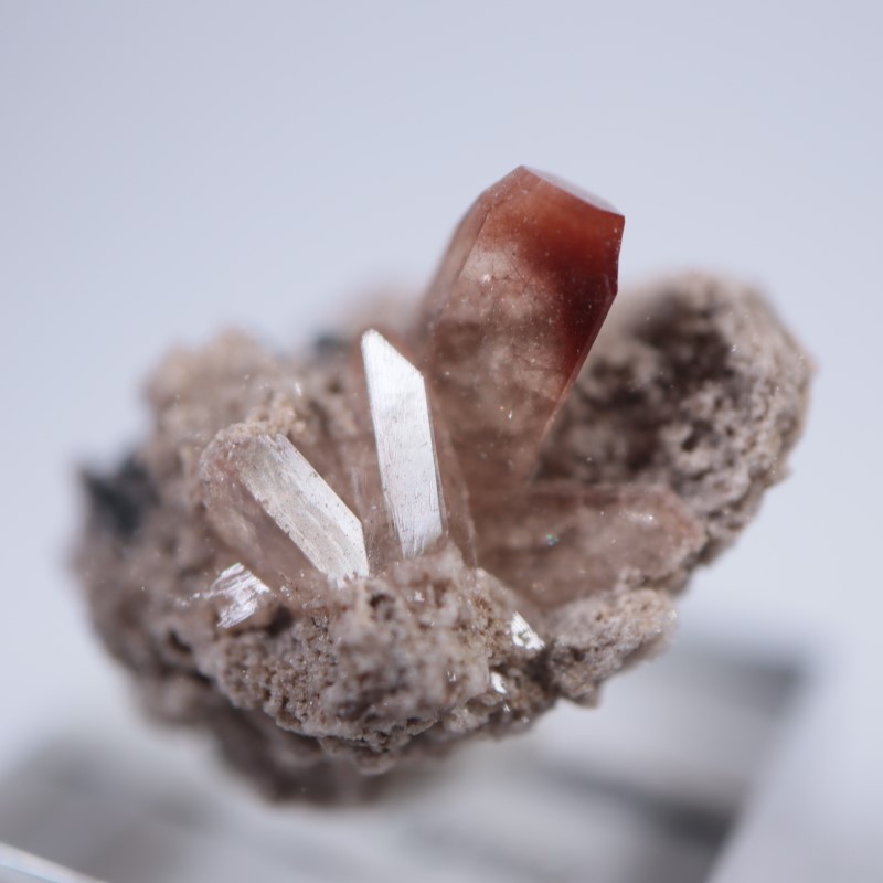 �ᥭ���������ȥѡ���