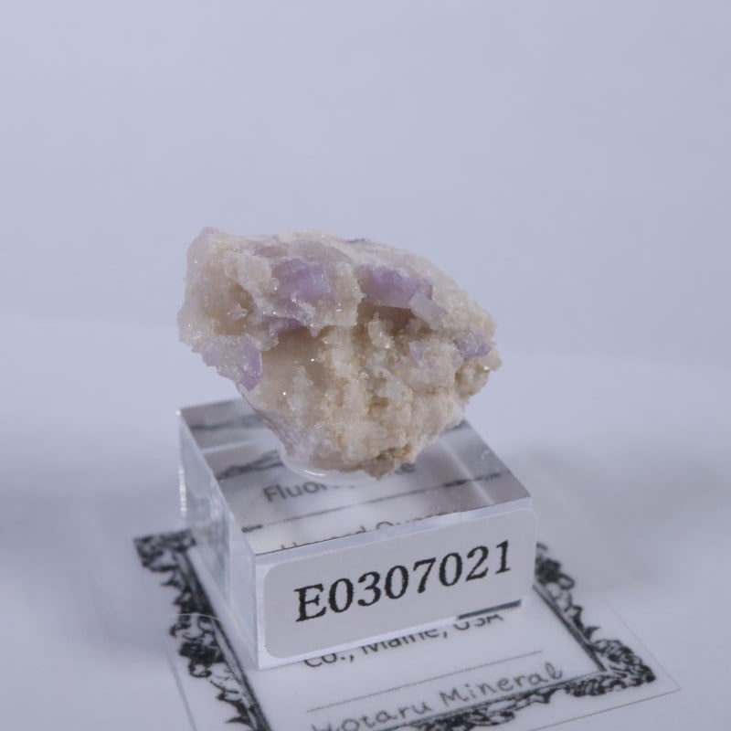 オクスフォード産 フルオロアパタイト | 鉱物標本,ア行,アパタイト