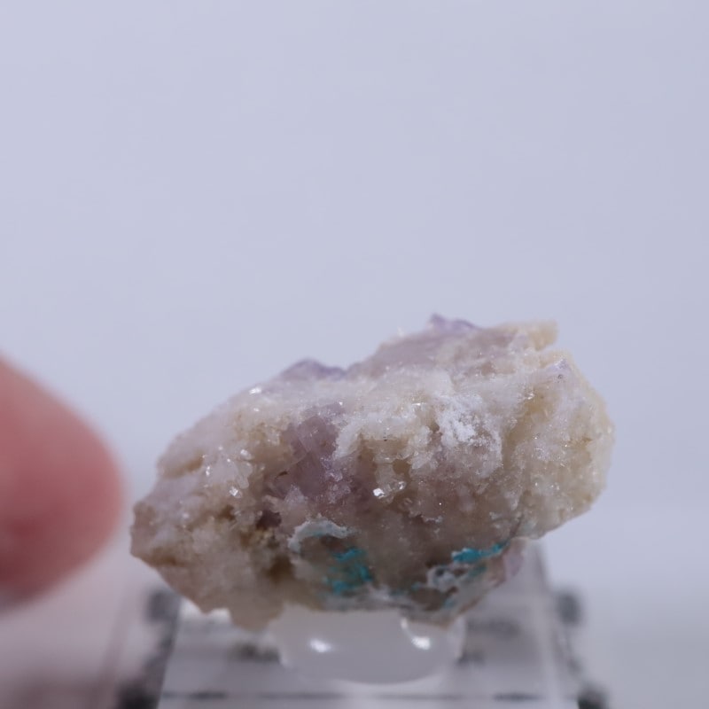 オクスフォード産 フルオロアパタイト | 鉱物標本,ア行,アパタイト