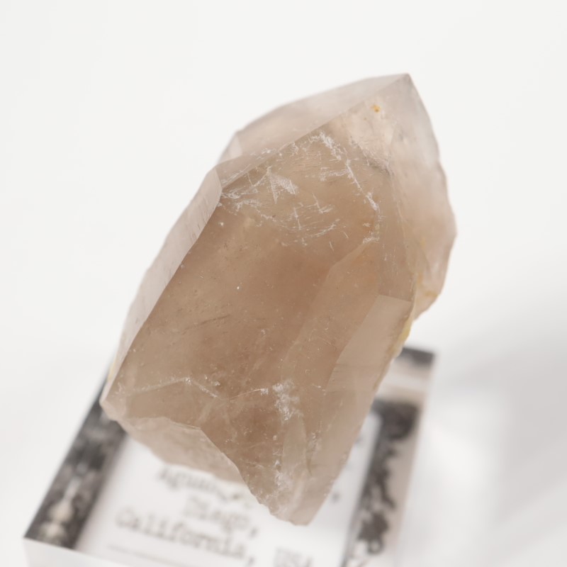 Maple Lode�ۻ�����徽