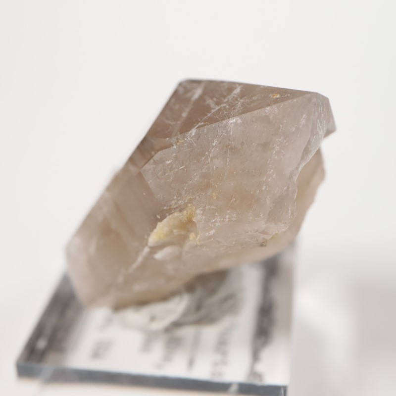 Maple Lode�ۻ�����徽